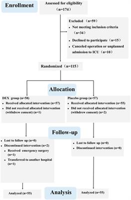 Intranasal dexmedetomidine improves postoperative sleep quality in older patients with chronic insomnia: a randomized double-blind controlled trial